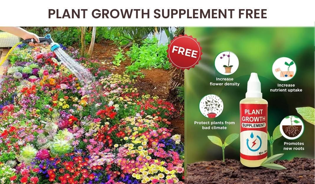 Varieties of Flower Seeds (Pack of 100) And Get Plant Growth Supplement *Free*