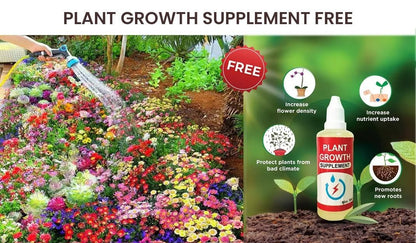 Varieties of Flower Seeds (Pack of 100) And Get Plant Growth Supplement *Free*