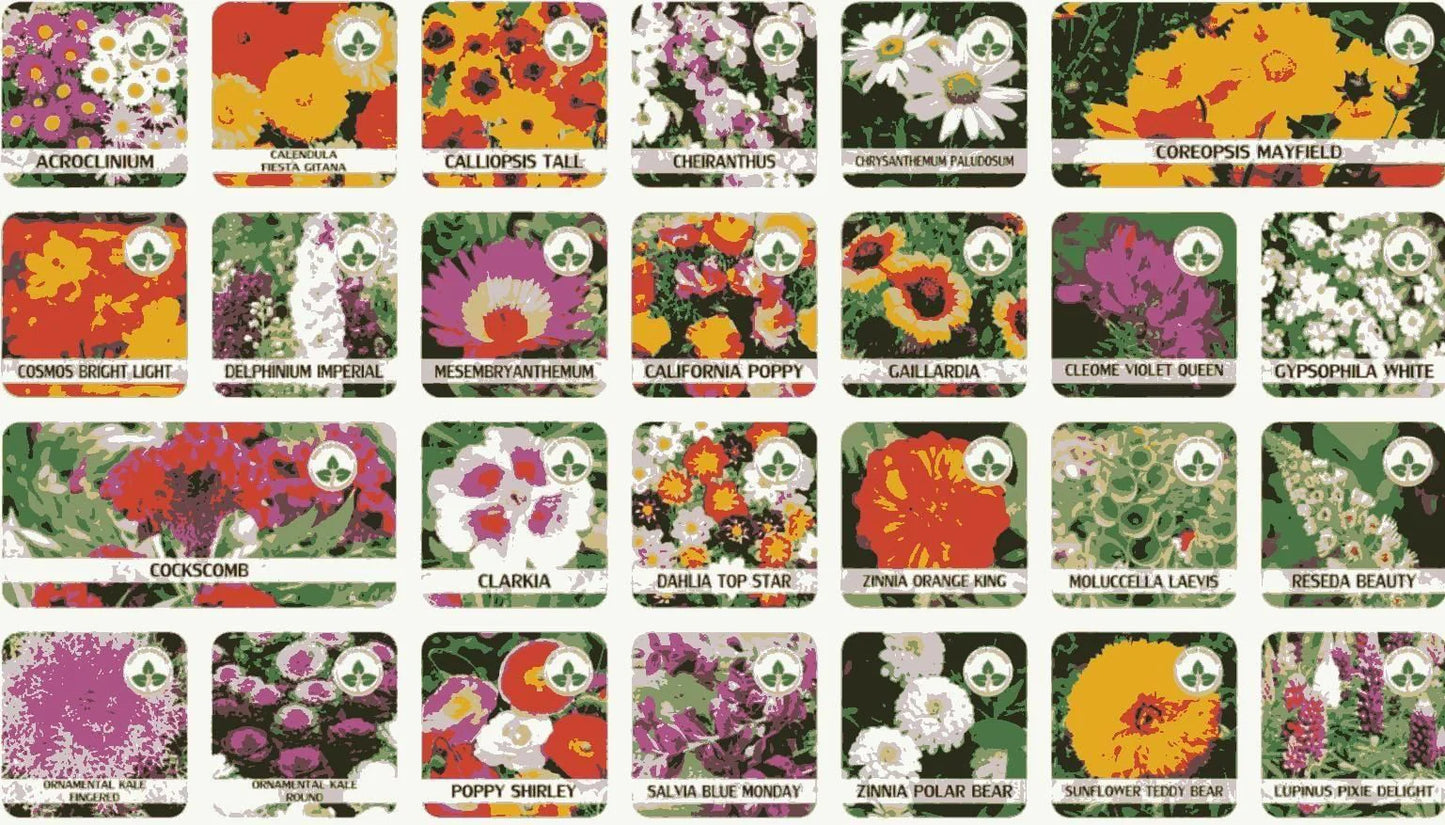 Varieties of Flower Seeds (Pack of 100) And Get Plant Growth Supplement *Free*