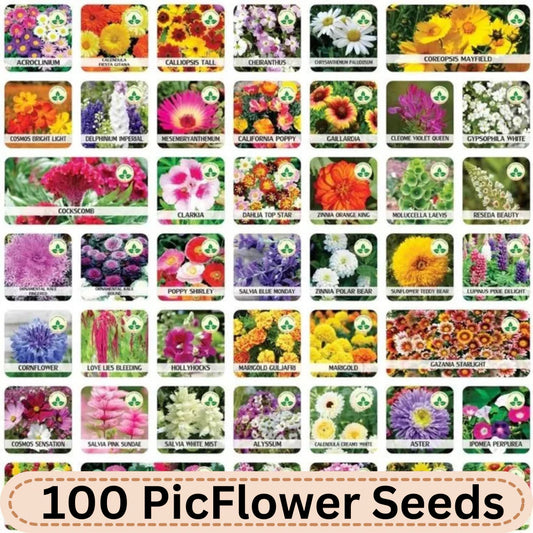 Varieties of Flower Seeds (Pack of 100) And Get Plant Growth Supplement *Free*